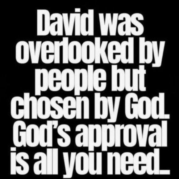 Meet your Posher, Kim - Picture 2 of 5